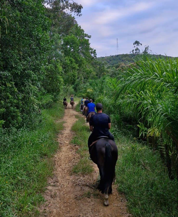 Centro Terapêutico Masculino - Aracuari - Santa Catarina